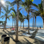 Captura de Pantalla 2026-01-31 a la(s) 10.46.57